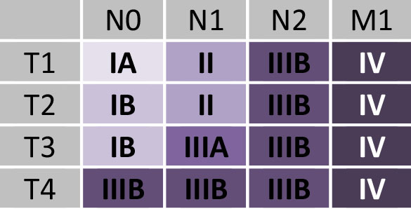 Classifications 8ème édition Aura